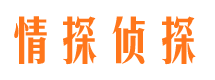 永登市婚姻调查